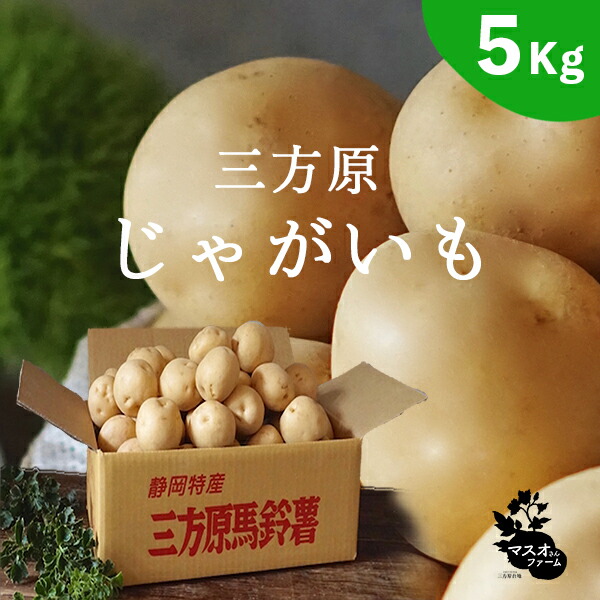 楽天市場】2025年分 6月2日 20:00時ご注文受付! 三方原馬鈴薯【5kg
