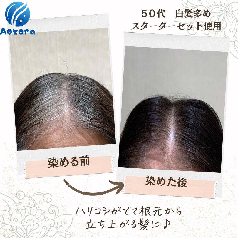 楽天市場】ヘナ白髪染め スターターセット 毛染め4点セット付