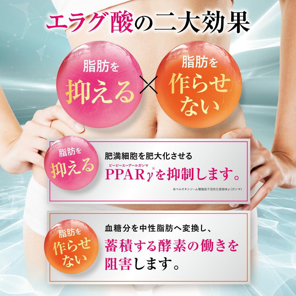 楽天市場】【公式】 シボローカ 体重 体脂肪 減少サポート ダイエット