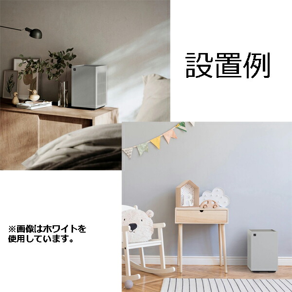 楽天市場】SHARP/シャープ FU-T40-H 空気清浄機（グレー系）【取寄商品