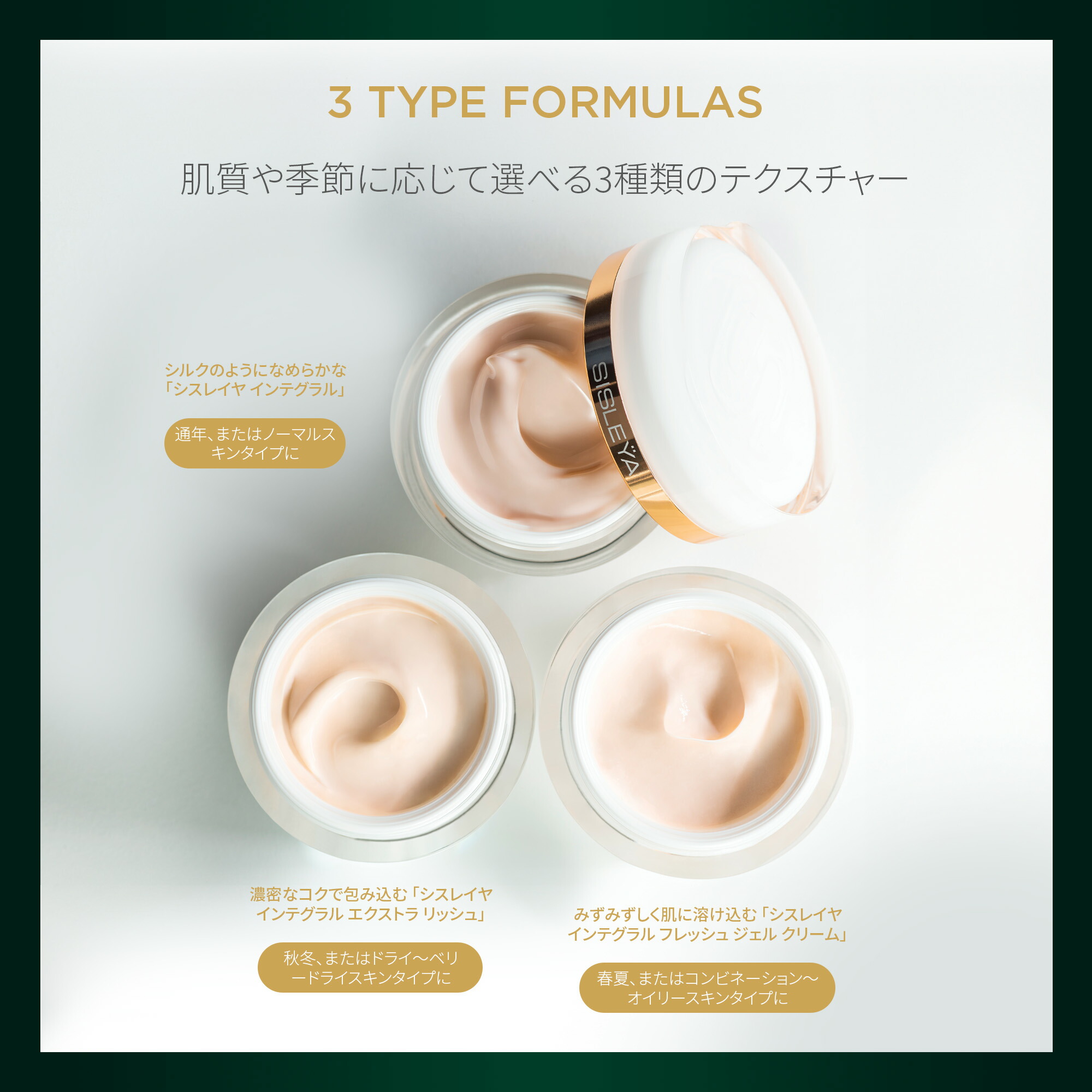 楽天市場】【公式】 シスレー シスレイヤ インテグラル デイ＆ナイト