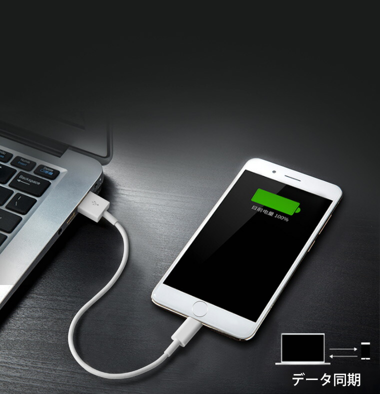 楽天市場】【単品注文不可】【2本セット】 iPhone14 Pro Max 充電