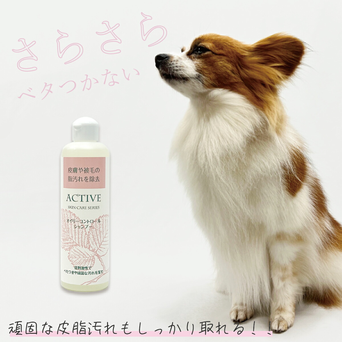 楽天市場】【アジル】オイリーコントロールシャンプー 低刺激性