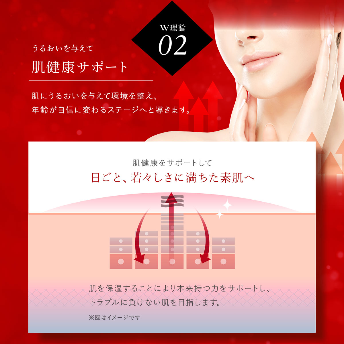 楽天市場】待望の公式店オープン！【エニシー公式店】エニシー