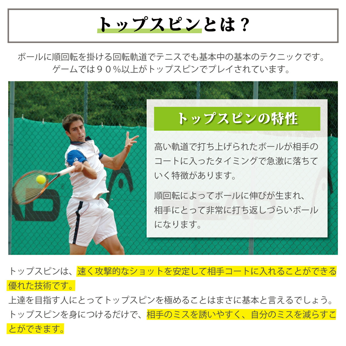 楽天市場】正規品【楽天1位12冠】世界ランカーも認めた【1日2分で