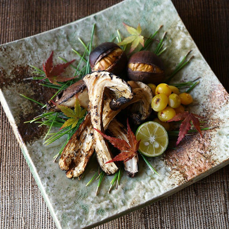 楽天市場】和食器 中皿 大皿 22cm【単品】「 たち吉 松禄 角皿 」角皿