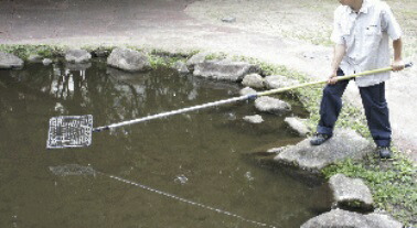 楽天市場】八ツ矢工業 ごみとりネット 大 プール、池、用水路の掃除に