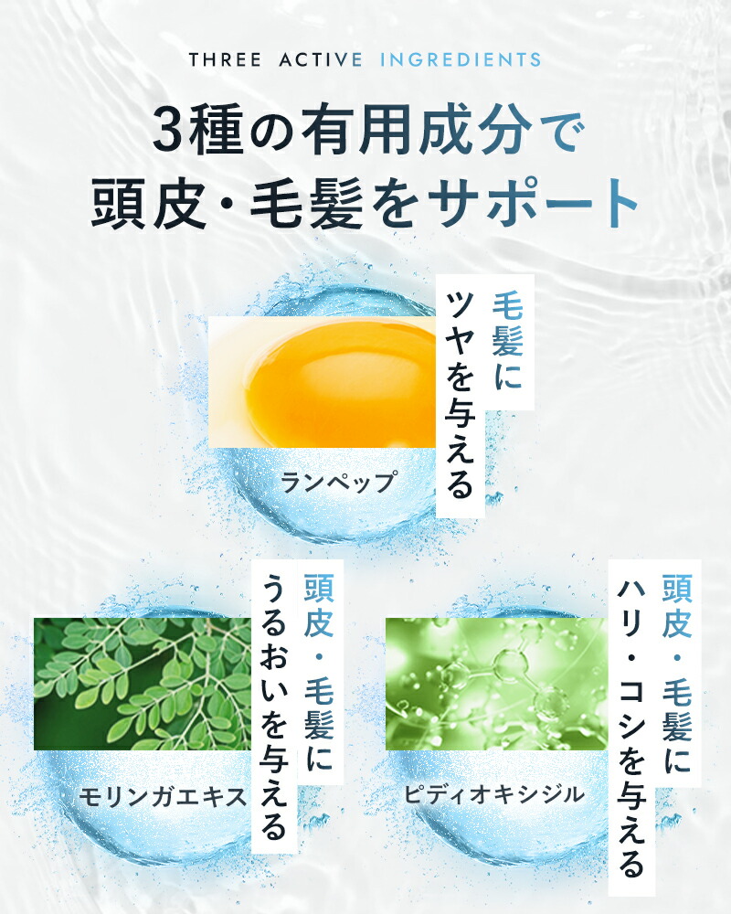 楽天市場】【第2類医薬品】【公式】ニューZ2本+ニューモ ヴァクトリー+