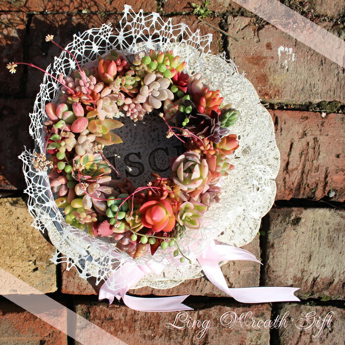 楽天市場】多肉植物 リース 寄せ植え 贈り物 ギフト BOX プレゼント