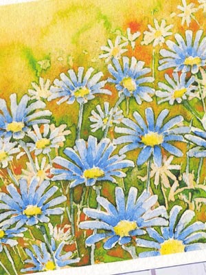楽天市場】ブルーデイジー ( 菊 デイジー 水彩画 風景画 )☆当店