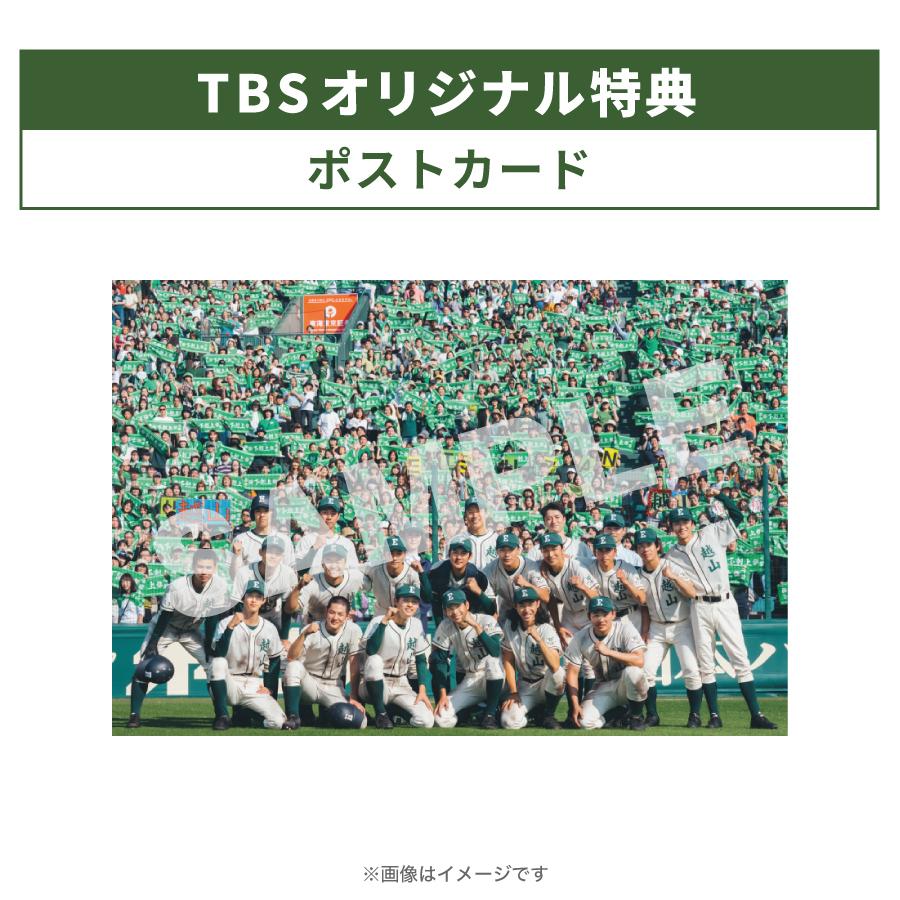 楽天市場】日曜劇場『下剋上球児』／ディレクターズカット版 DVD-BOX