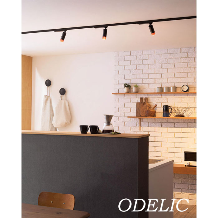 楽天市場】スポットライト ダクトレール 壁付け 調光 調色