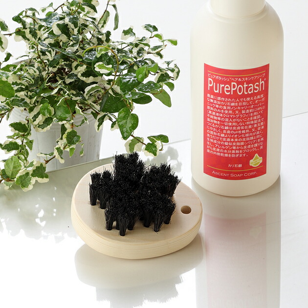 楽天市場】江戸 屋 ヘアブラシの通販