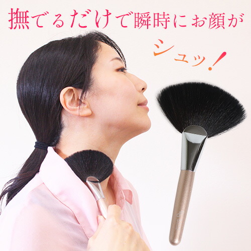 楽天市場】さとう式 フェイシャルブラシ : トータルヘルスデザイン