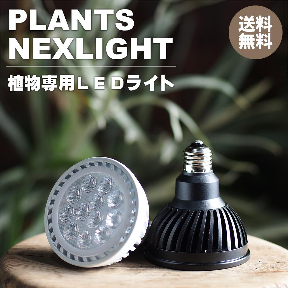 楽天市場】【お買い物マラソン】植物専用LEDライト Plants NEXTLIGHT