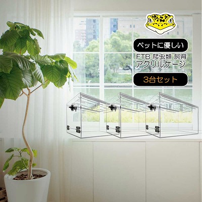 楽天市場】アクリル ケージ レオパの通販