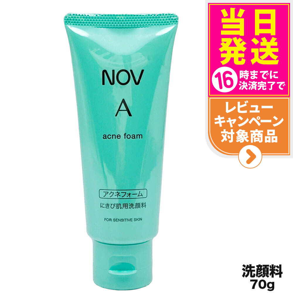 楽天市場】【国内正規品】常盤薬品 NOV ノブ A アクネフォーム 70g