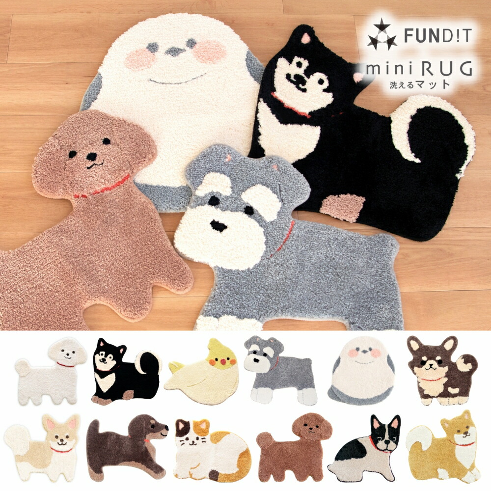 202512105007.jpg?fitin=272:272