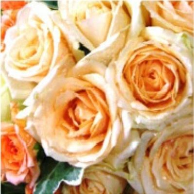 楽天市場】ウェディングブーケ 生花 ブートニア セット オレンジ バラ