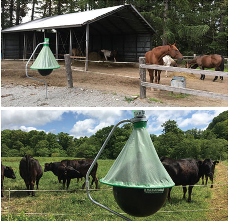 楽天市場】【2026年3月31日ご注文分まで期間限定 早期割引】アブ 対策