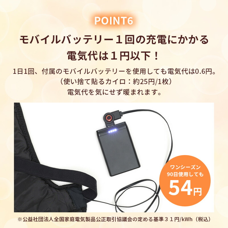 楽天市場】【20%OFFクーポン配布中】シークレット ヒーターベスト 電熱