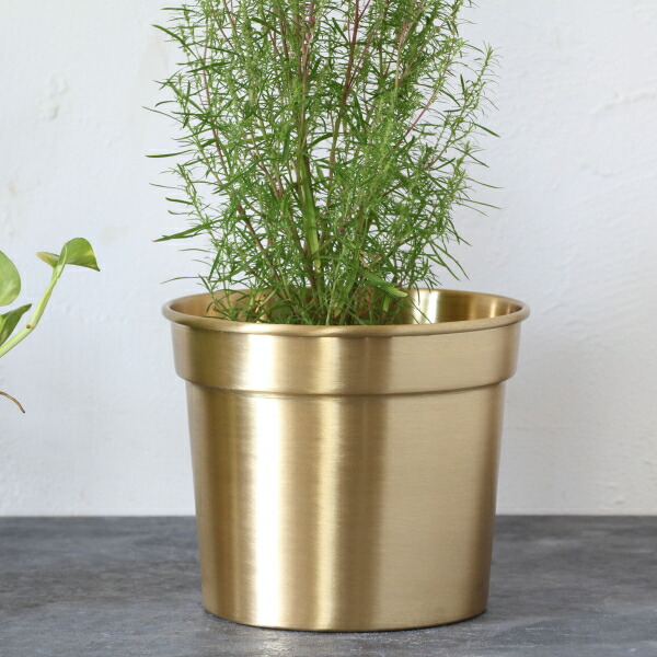 鉢カバー ゴールド」の人気商品一覧 | 安い商品を通販サイトから探す