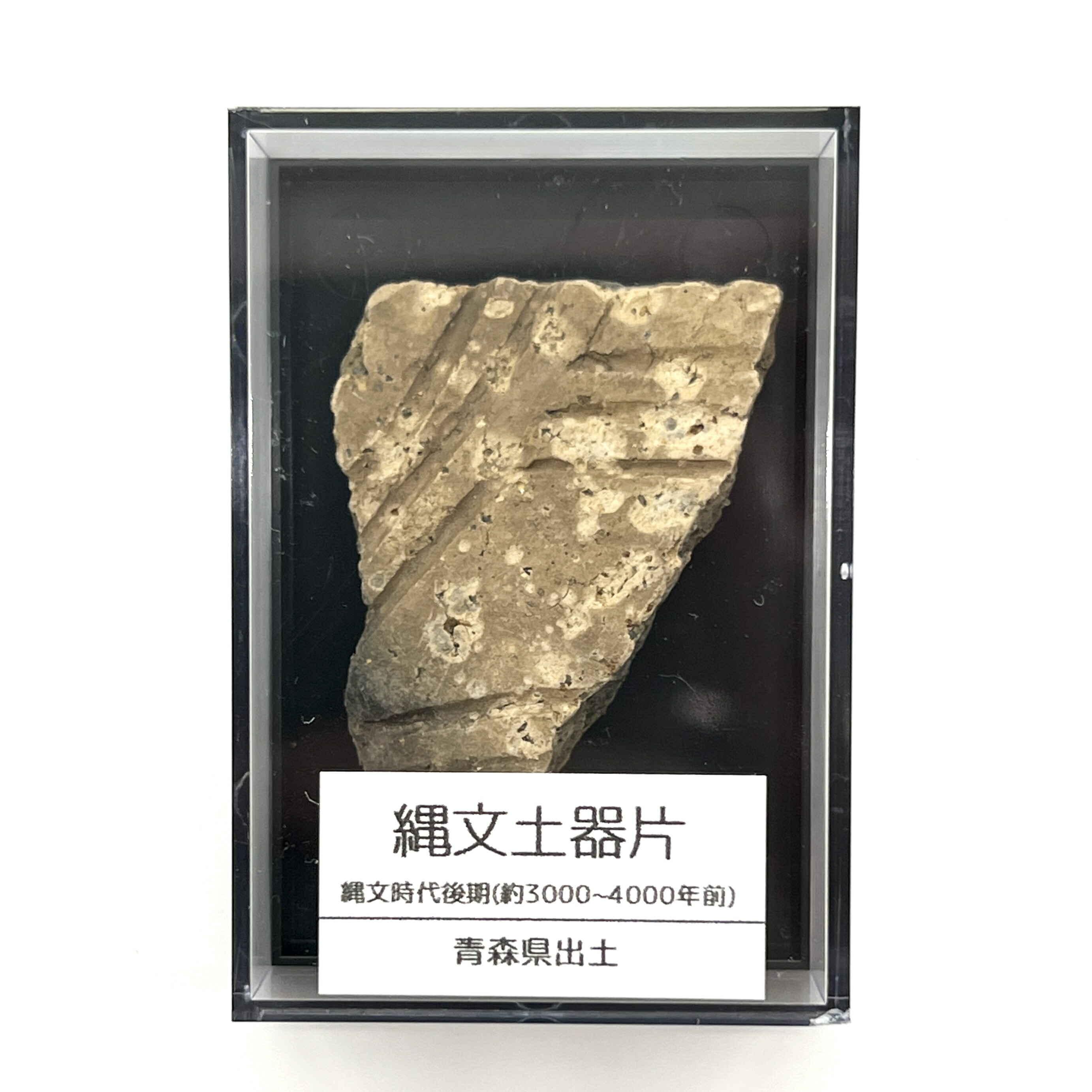 楽天市場】【送料無料】つくしサイエンス 縄文土器 破片 本物 青森産