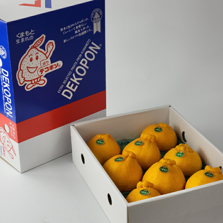 楽天市場】【熊本県産 デコポン 約1k or 約2k or 約3k or 約5k