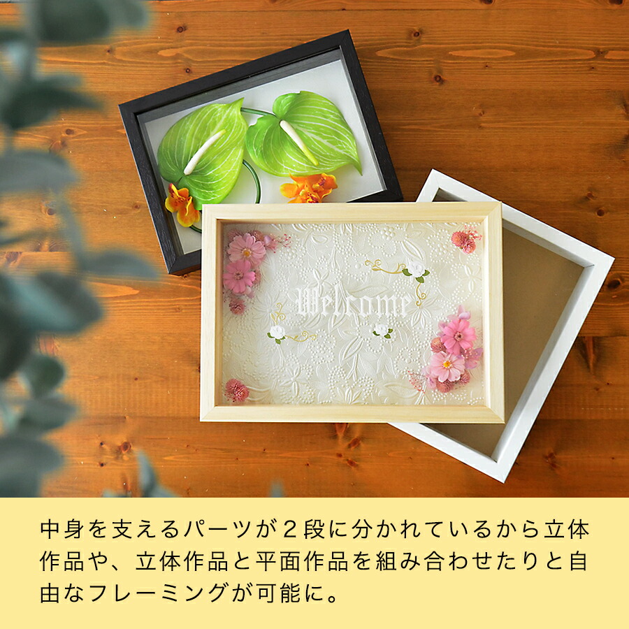 楽天市場】ボックスフレーム 立体額 セパレートタイプ 八ツ切 242×303