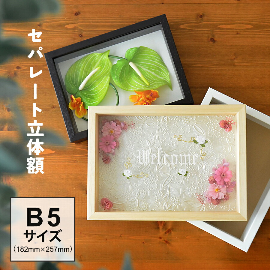 楽天市場】ボックスフレーム 立体額 セパレートタイプ B5 182×257 額縁