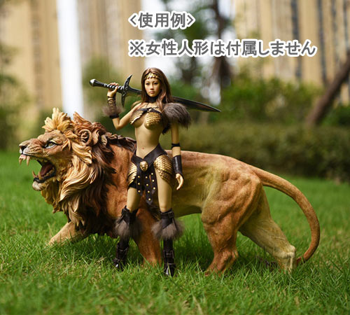 楽天市場】【JxK.Studio】JxK002-001 1/6 African Lion 1/6スケール