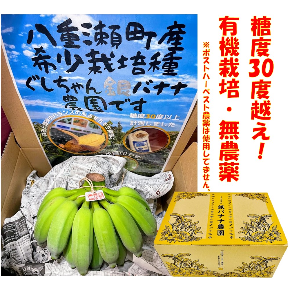 楽天市場】もっちり ぐしちゃん銀バナナ 約2kg 実14本前後 沖縄県八重