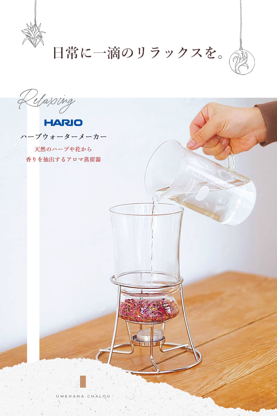 楽天市場】【再入荷】ハーブウォーターメーカー(ハリオ社製) HARIO