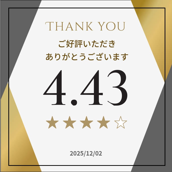 楽天市場】≪最大400円クーポン≫ホームベーカリー 2斤 2片用