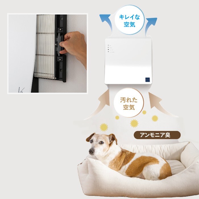 楽天市場】空気清浄機 カルテック ターンドケイ 除菌 脱臭 光触媒技術