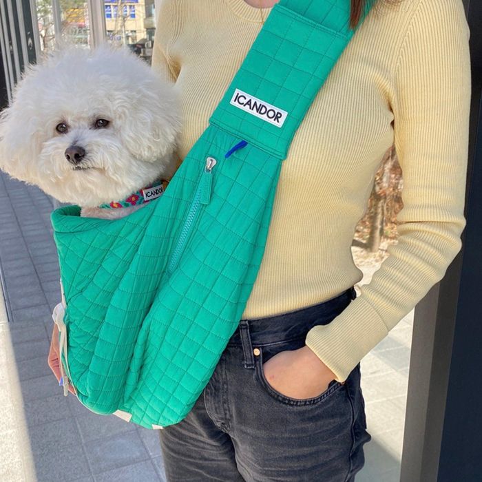 楽天市場】※予約販売【iCANDOR】Dumpling Bag（Lettuce Green） / 犬