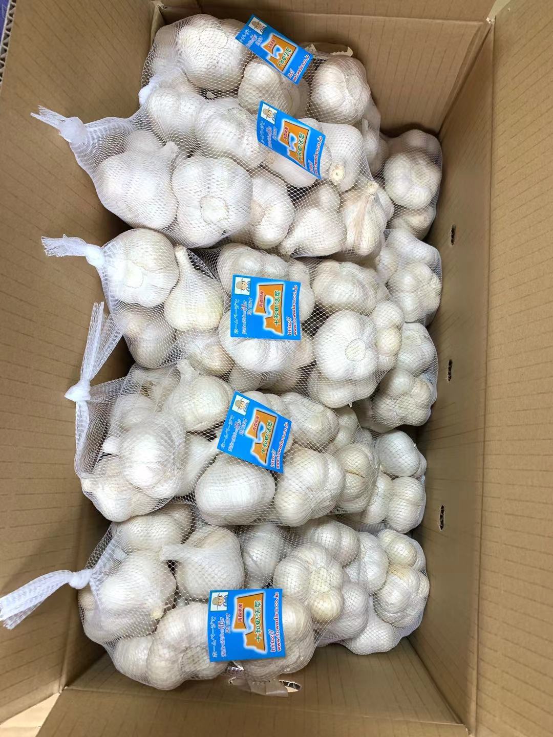 にんにく 10kg」の人気商品一覧 | 安い商品を通販サイトから探す