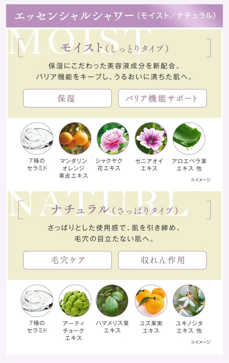 楽天市場】【 スキンケアセット 】ベーシック3ステップ セット 洗顔