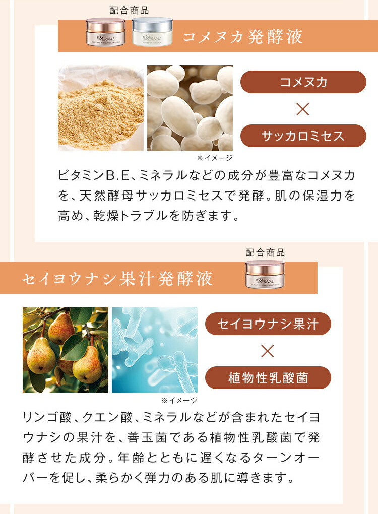 楽天市場】【 スキンケアセット 】ベーシック3ステップ セット 洗顔