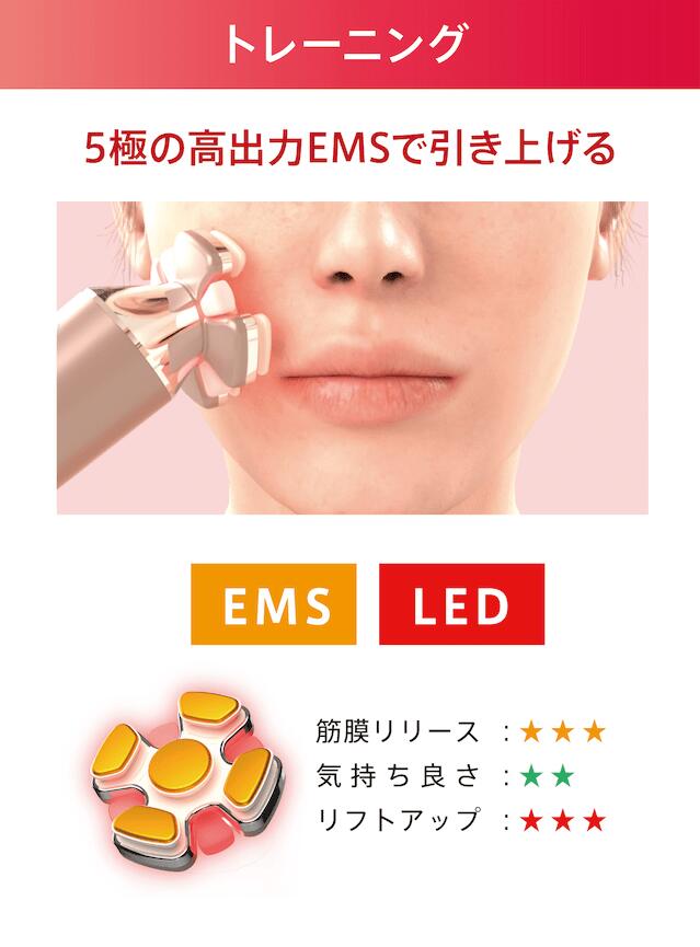 楽天市場】正規品 ZOGANKIN BLOOM（ ゾーガンキン ブルーム ）CL-OK