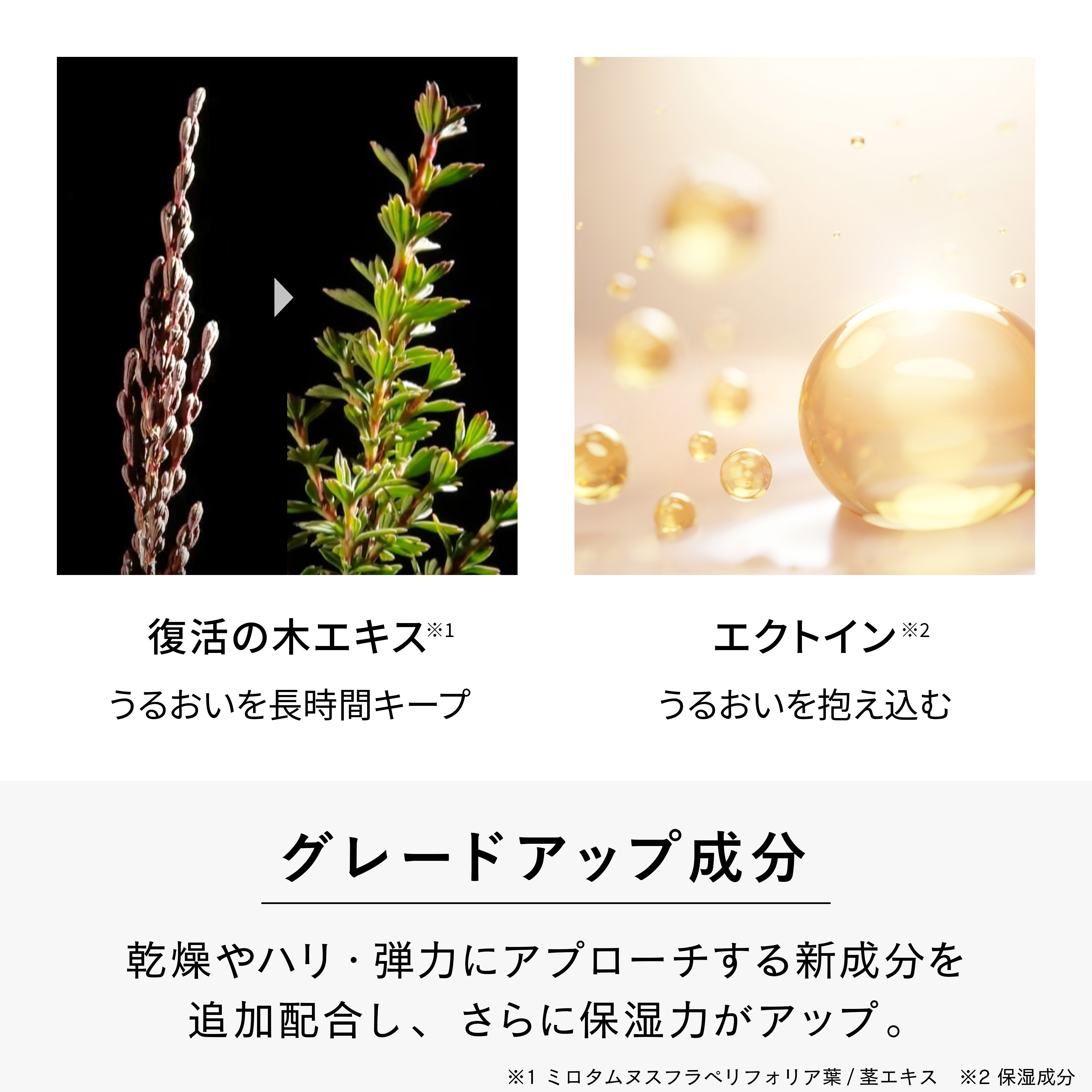 楽天市場】【公式店】リペアモイストローション “酸化”と“糖化”に着目