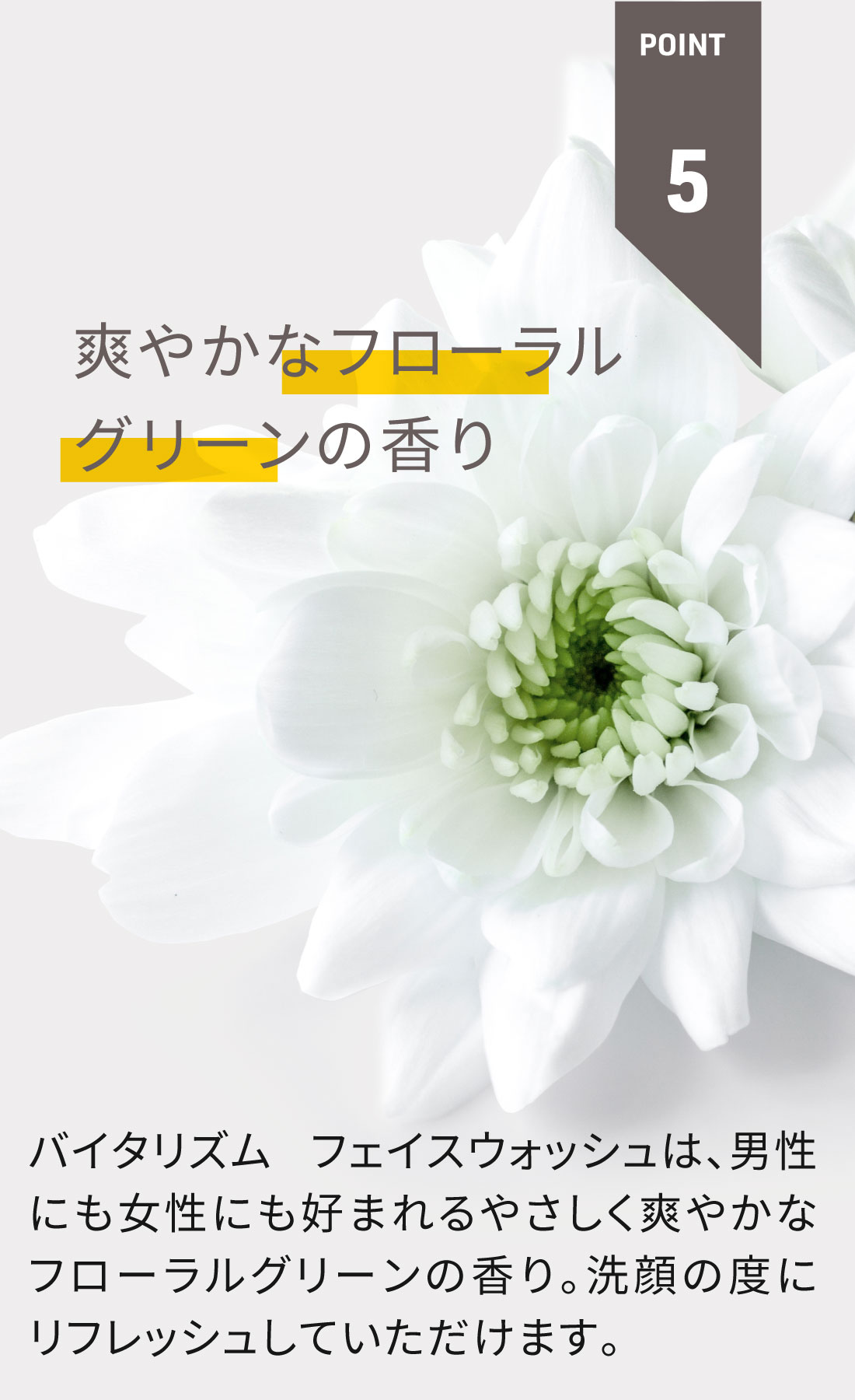 楽天市場】VITALISM フェイスウォッシュ 150g 男女兼用 洗顔料 洗顔