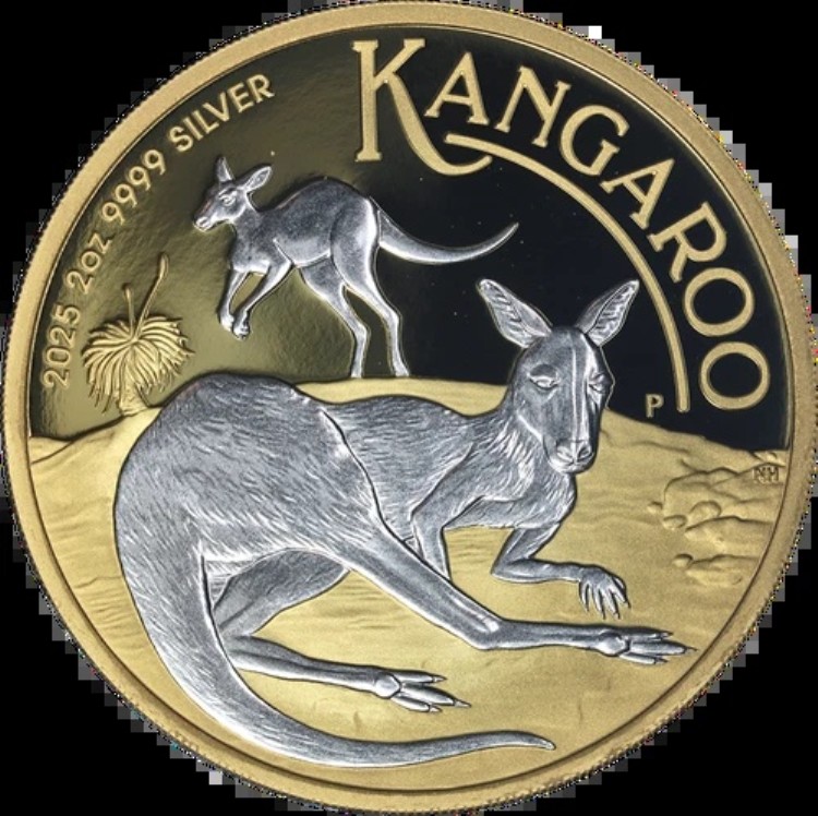 オーストラリア 銀貨 カンガルー」の人気商品一覧 | 安い商品を通販