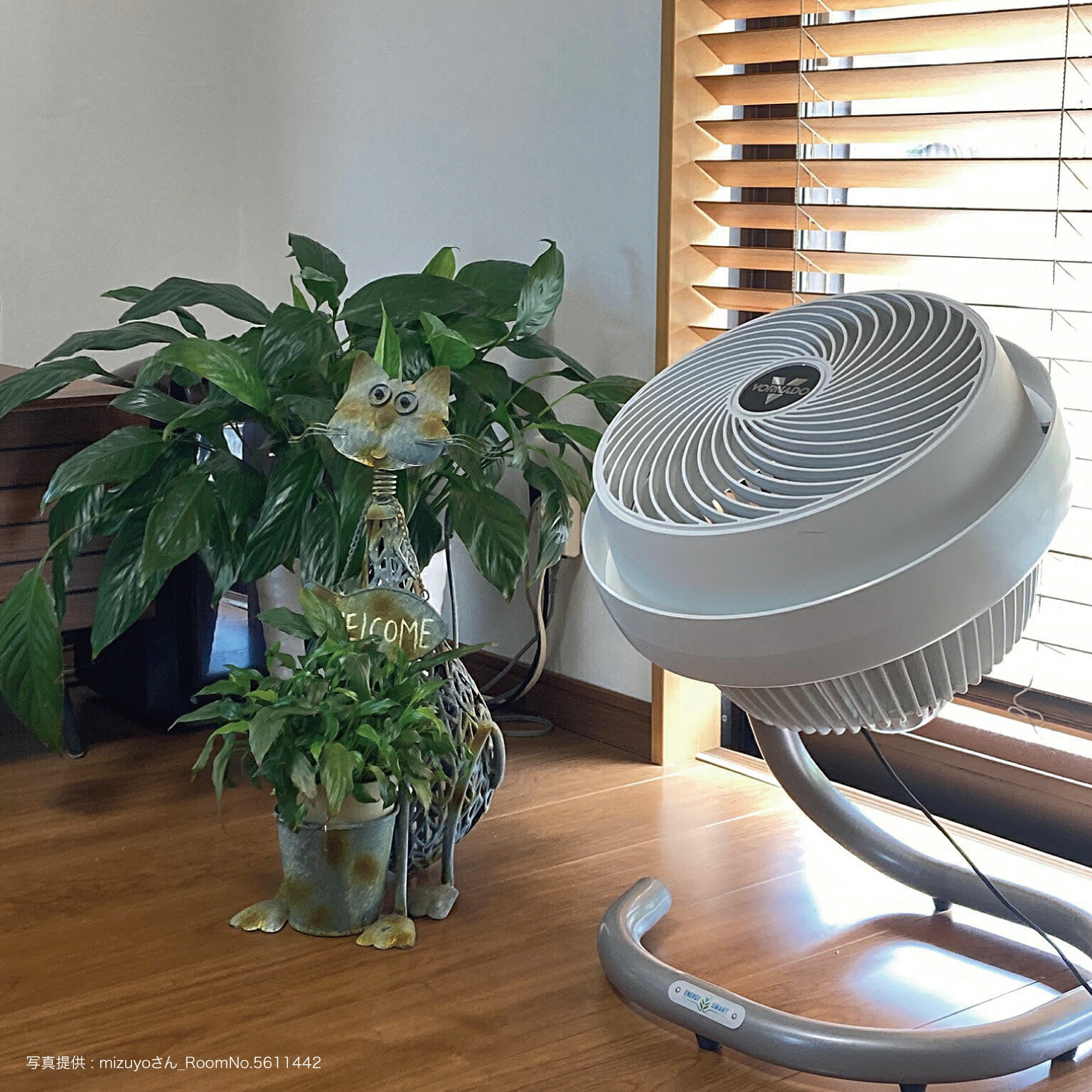 楽天市場】【公式】 ボルネード サーキュレーター 扇風機 45畳 DC