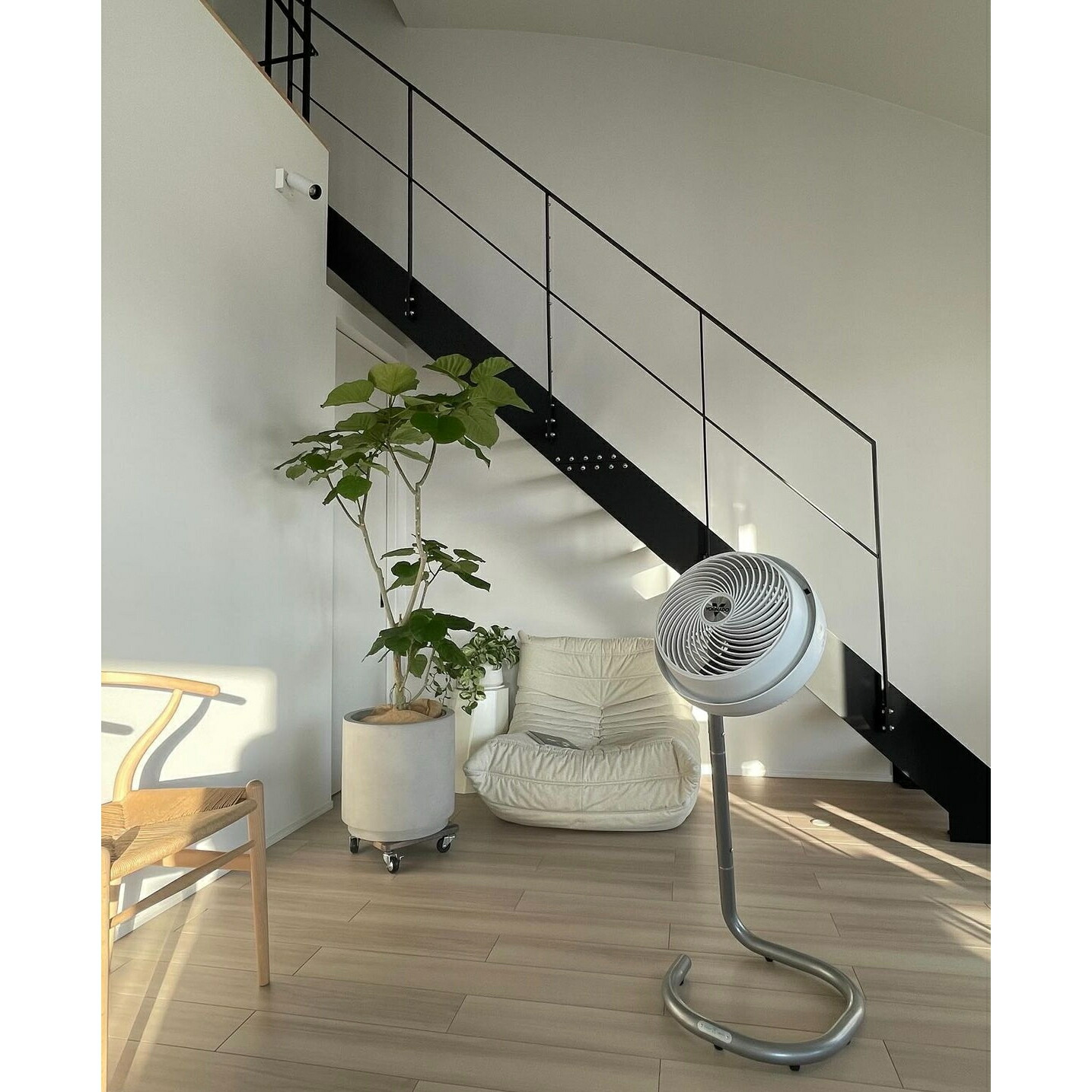 楽天市場】＼期間限定ポイント10倍☆要エントリ／【公式】 ボルネード