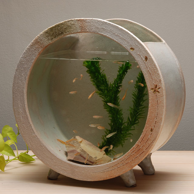 楽天市場】メダカ 水槽 おしゃれ メダカ鉢 鉢 メダカ入れ 金魚鉢 陶器