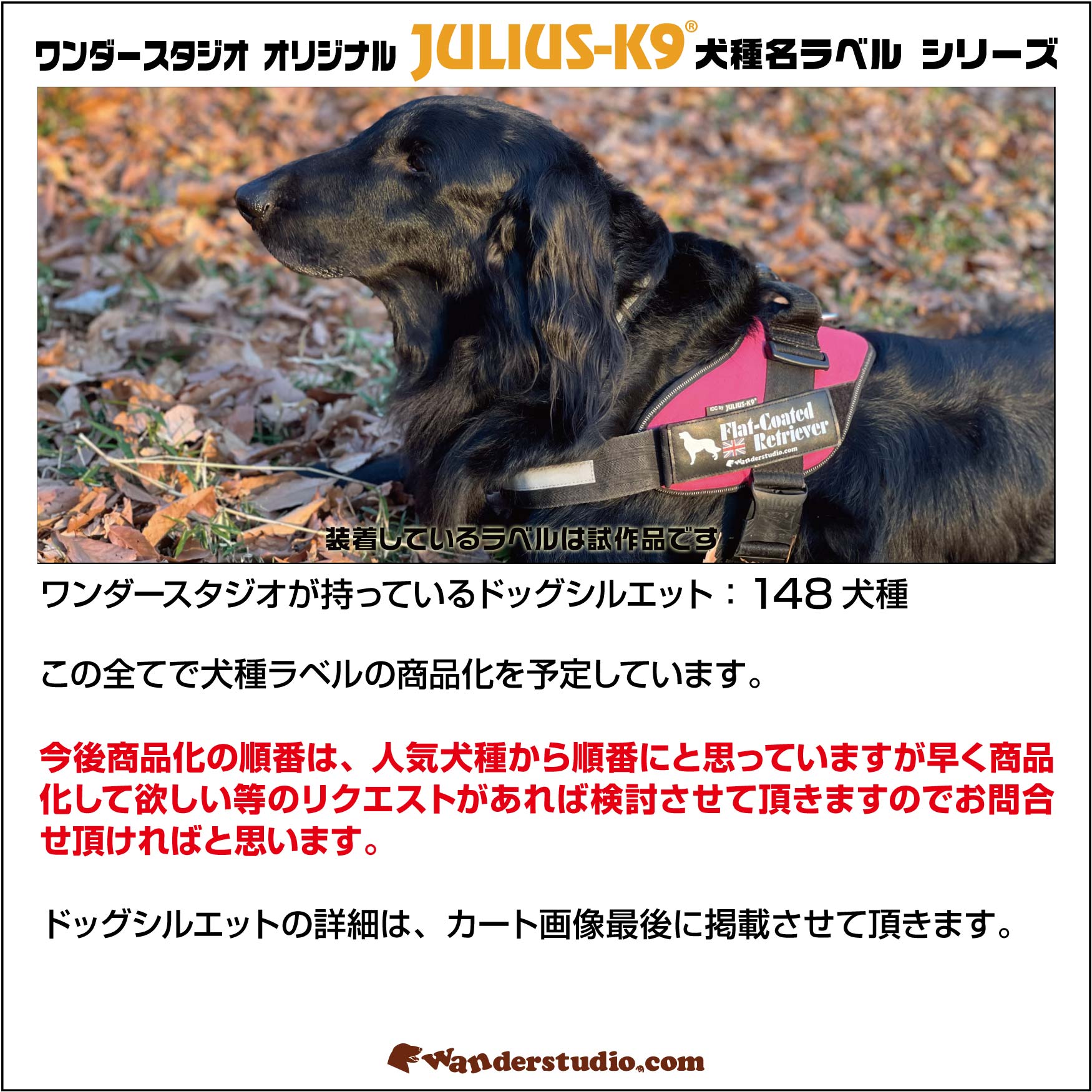 楽天市場】柴犬 Shiba 犬種名ラベル 【1枚】ハーネスと同時購入で100円