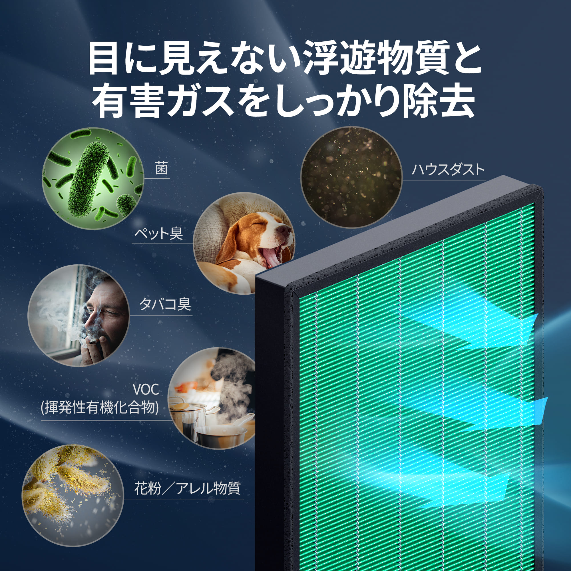 楽天市場】[公式]COWAY 空気清浄機 AIRMEGA MIGHTY 交換用 フィルター