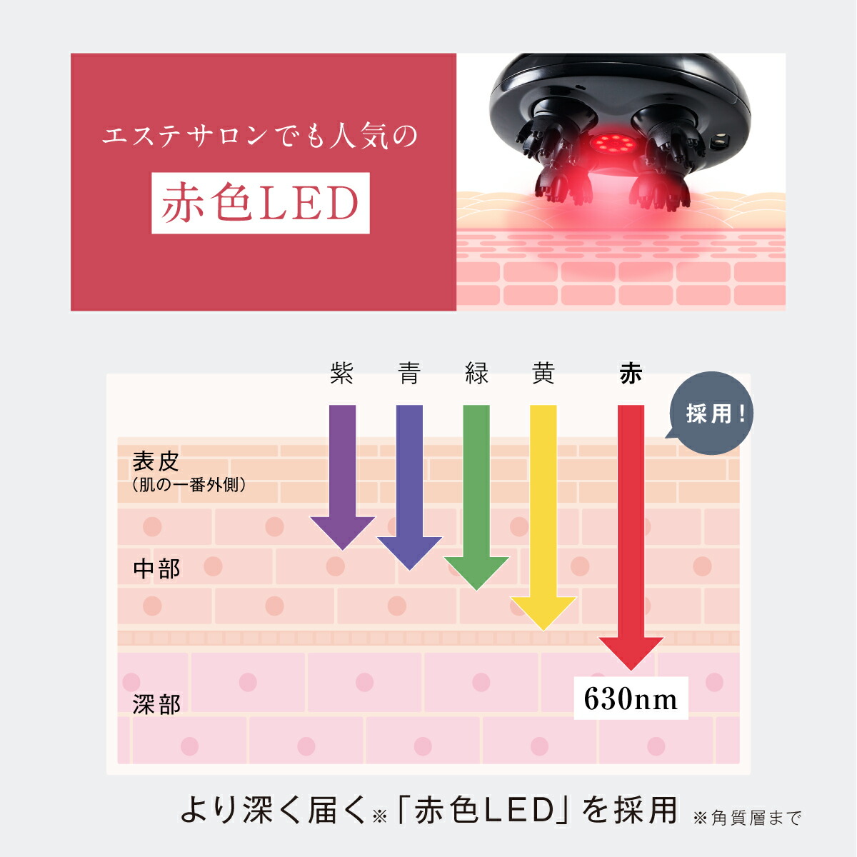 楽天市場】【EMSx赤LED ☆WAVEWAVE公式 EMS Scalp Head SPA】楽天1位
