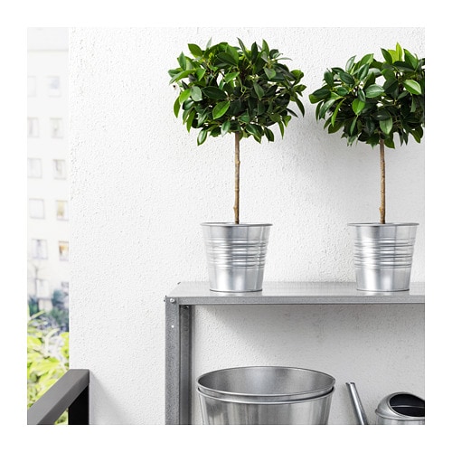 楽天市場】[IKEA/イケア/通販]FEJKA フェイカ 人工観葉植物, 室内/屋外